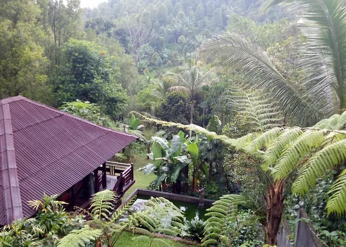 Bintang Hotel